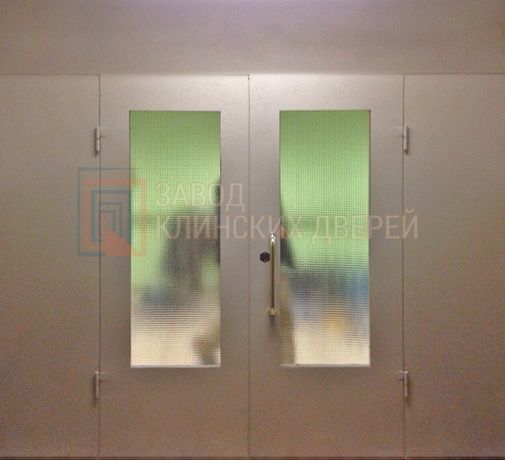 Техническая дверь c порошковым напылением и стеклом  ДТХ-16 c порошковым напылением и стеклом  ДТХ-16